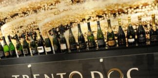 TRENTODOC: ŠUMIVÁ JEDNIČKA ITÁLIE! Na mistrovství světa v nejlepších sektech planety získaly „horské bublinky“ 97 medailí