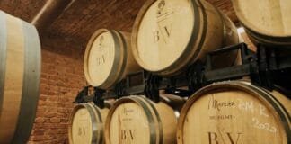 CABERNET SAUVIGNON 2018 šampionem Velkopavlovické podoblasti. Červené do třetice