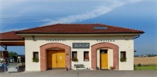 Ryzlink rýnský z Bzence posadil Vídeň na zadek. AWC VIENNA 2025 zná své vítěze