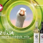 ViFond_Svatomartinské_Bannerx_01_300 x 200