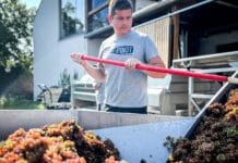 MLADÍ VINAŘI – Ondřej Dubas. Od IT k vínu. Cesta, která dává smysl i chuť