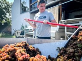 MLADÍ VINAŘI – Ondřej Dubas. Od IT k vínu. Cesta, která dává smysl i chuť