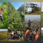 Grey Simple Fashion Mood Board A4 Landscape – 1