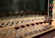 Poslední šance přihlásit Frankovku do soutěže, která vstoupí do historie Degustace Frankovek Rakousko