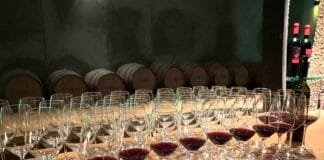 Poslední šance přihlásit Frankovku do soutěže, která vstoupí do historie Degustace Frankovek Rakousko