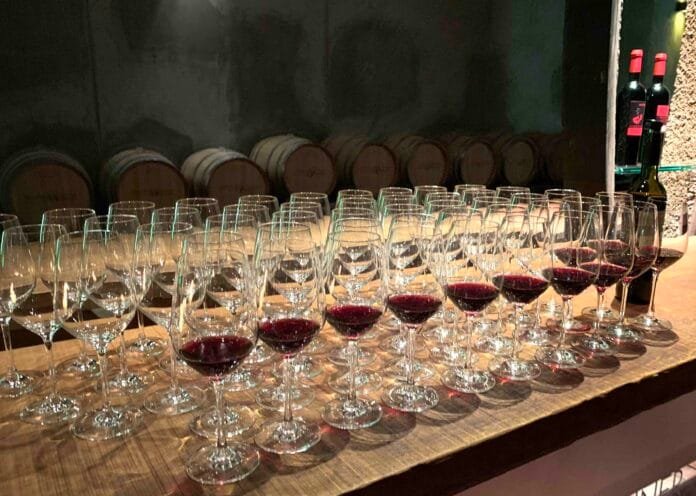 Degustace Frankovek Rakousko