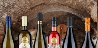 SALON VÍN ČR představil stovku nejlepších vín pro rok 2026. Brány otevře poslední lednový den